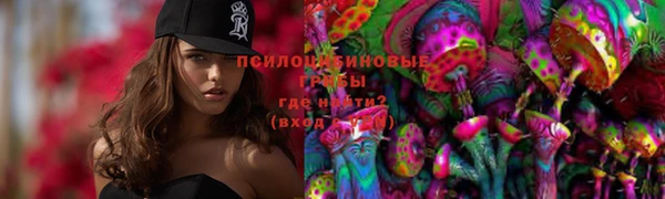 героин Алексин
