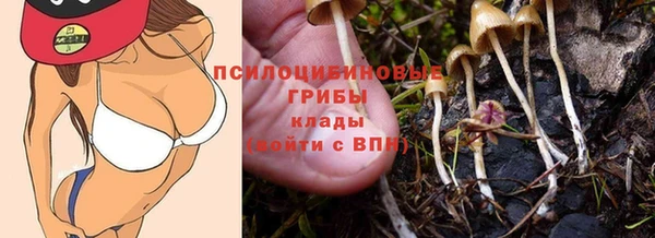 кокаин Алексеевка
