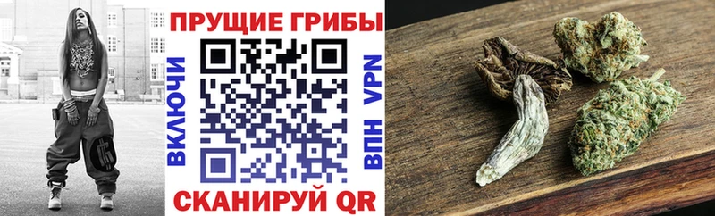 МЕГА сайт  Заинск  Галлюциногенные грибы мухоморы 